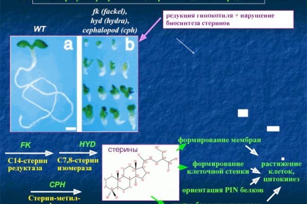 Кракен купить наркотики