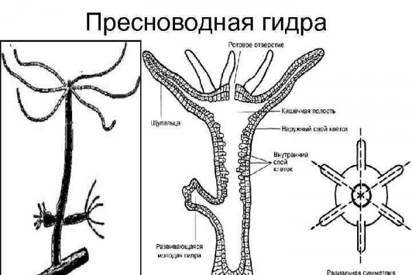 Кракен ссылка в тор