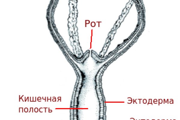 Кракен тор kraken dark