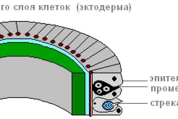 Кракен сайт kr2web